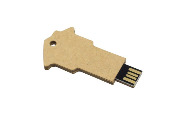 PaperHome USB Drive